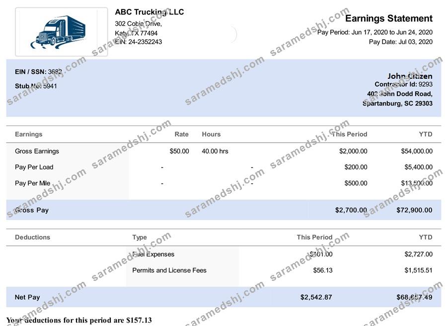 USA South Carolina TRUCKING LLC paystub in Word and PDF formats